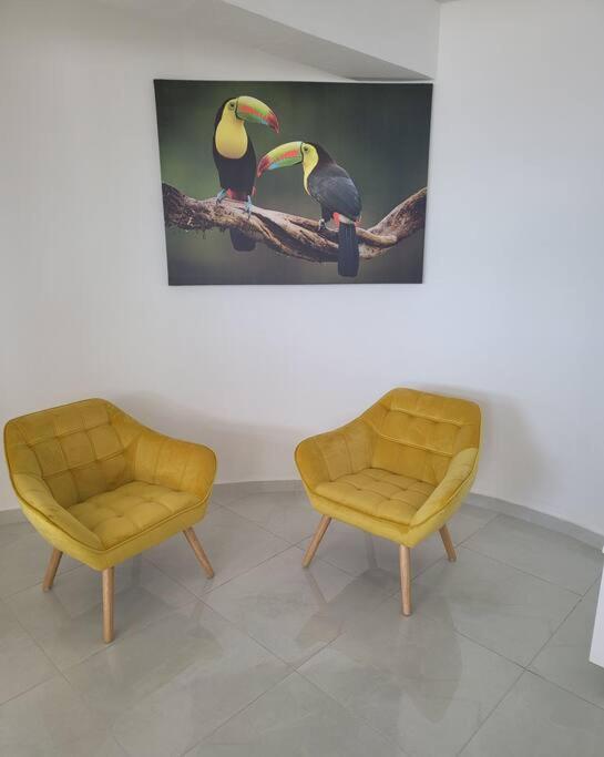 Appartement Hello Guyane à Cayenne Extérieur photo